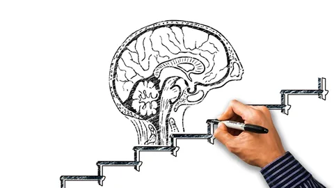 A composite image of a hand drawing stairs for a brain, or the mind, to climb. Illustrates [alt text].