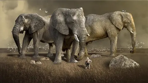 A composite photo of three giant elephants. Illustrates [alt text].