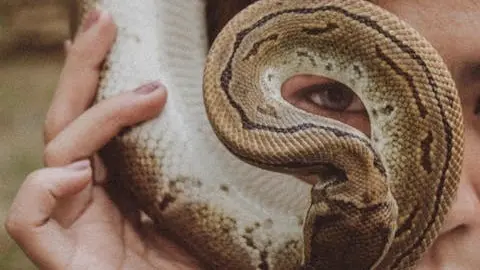 A photo of a woman holding a snake. Illustrates [alt text].