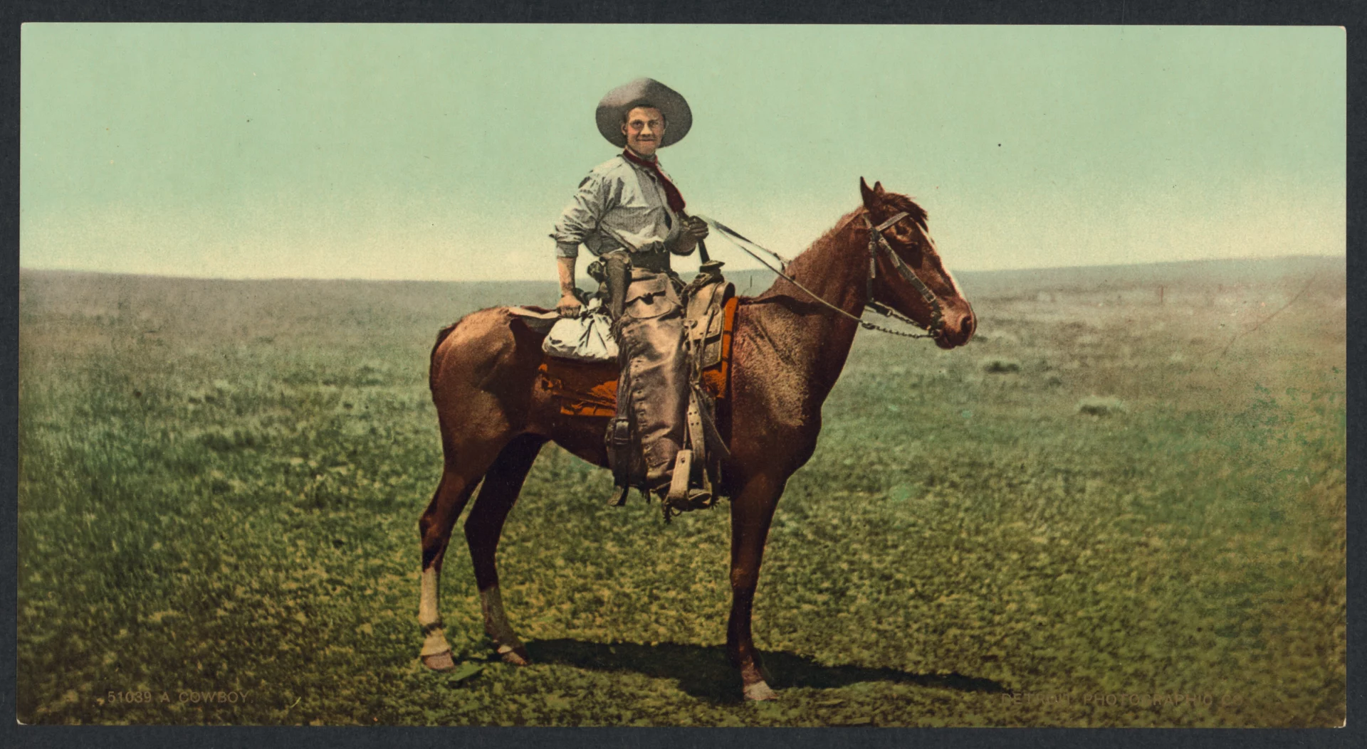 A cowboy and his steed stand on the edge of wilderness.