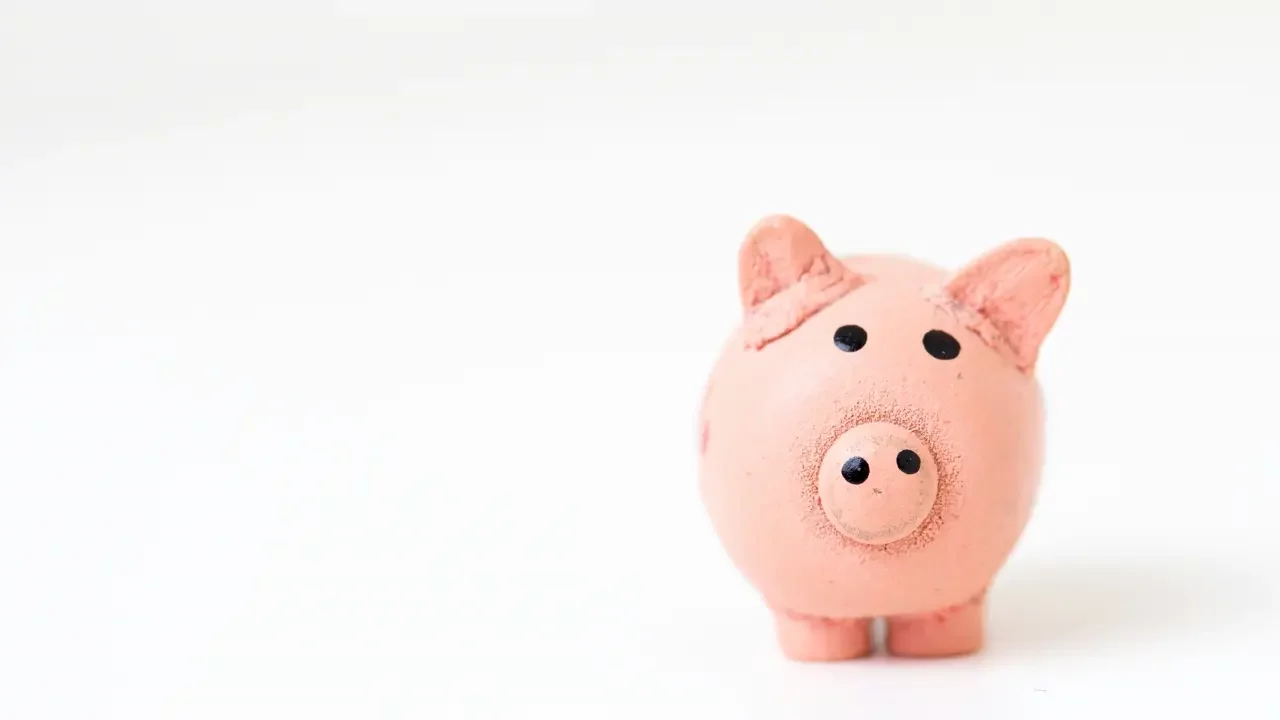 A photo of a cute pink piggy bank on white surface.
