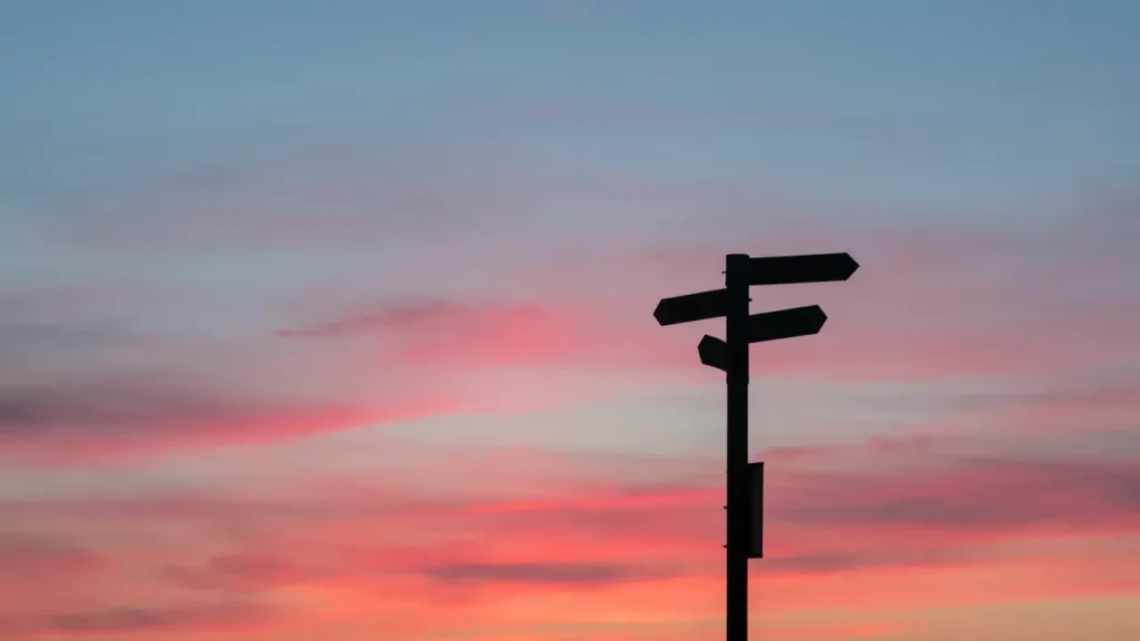 Silhouette of road signage during golden hour. Life is a succession of choices, what is yours? Themes of meaningful choices.