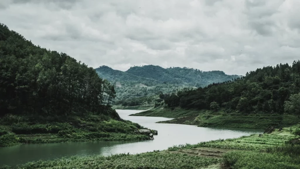 A photo of a winding river in a green forest