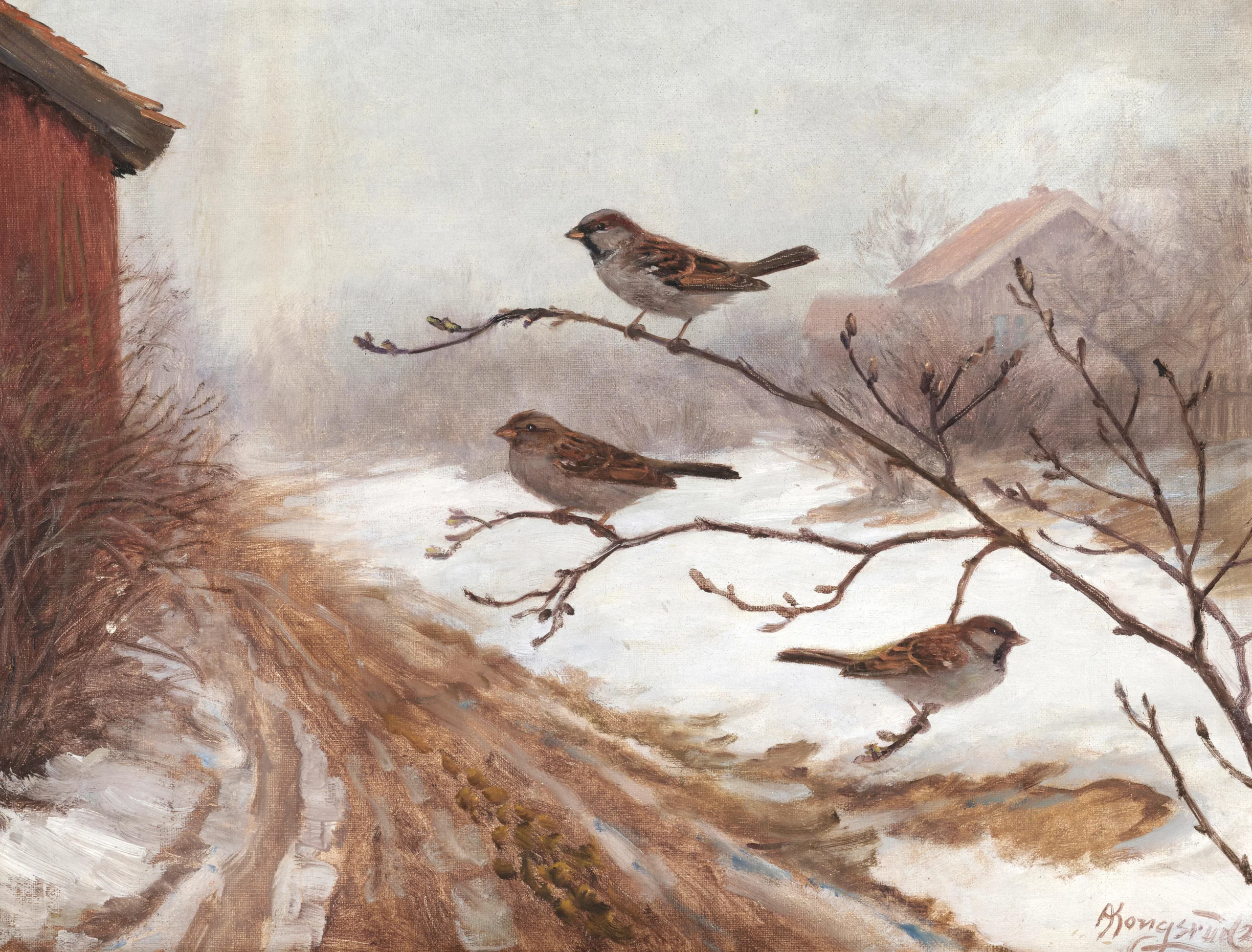 a-winter-scene-with-birds A winter scene with birds