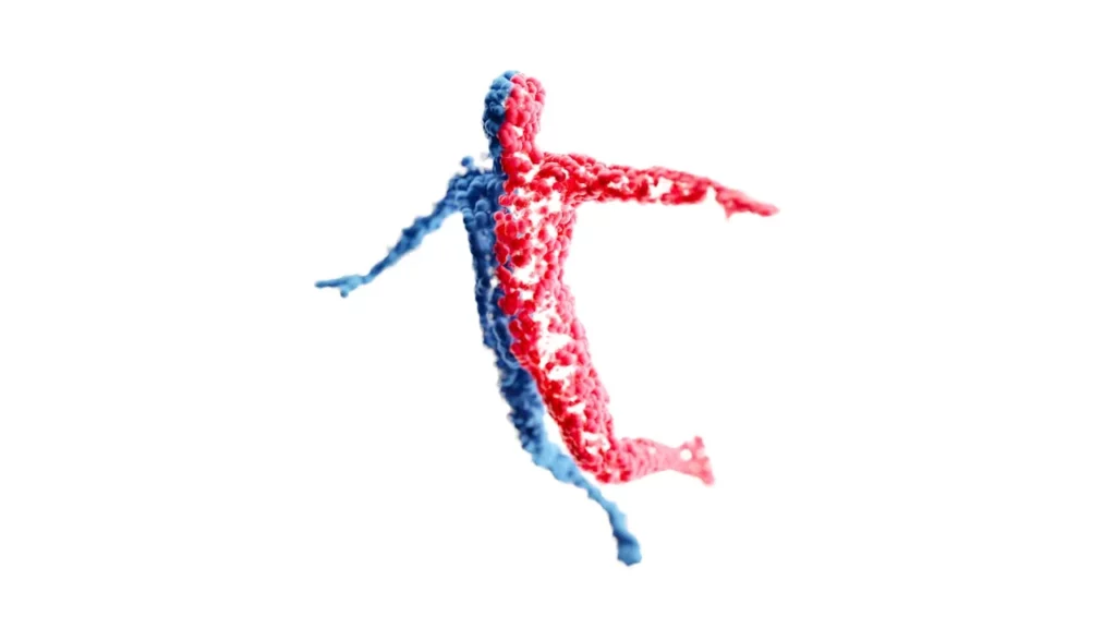 Photo of a sculpture of a person's insides, half red and half blue.