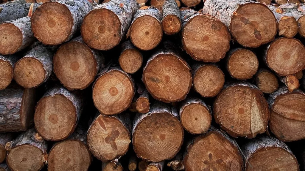 A photo of a large stack of logs from a lumber site.